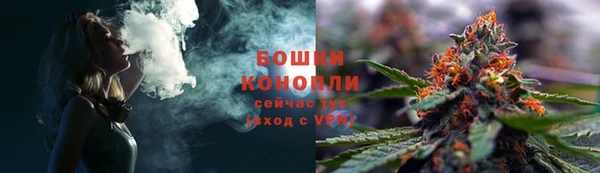стаф Сясьстрой